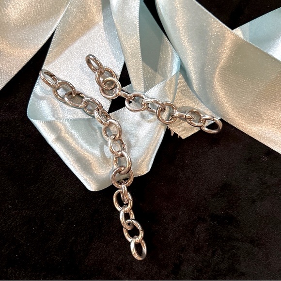 Tiffany & Co. Chain Link Clasping Charm Bracelet 100% Authentic - Picture 5 of 9